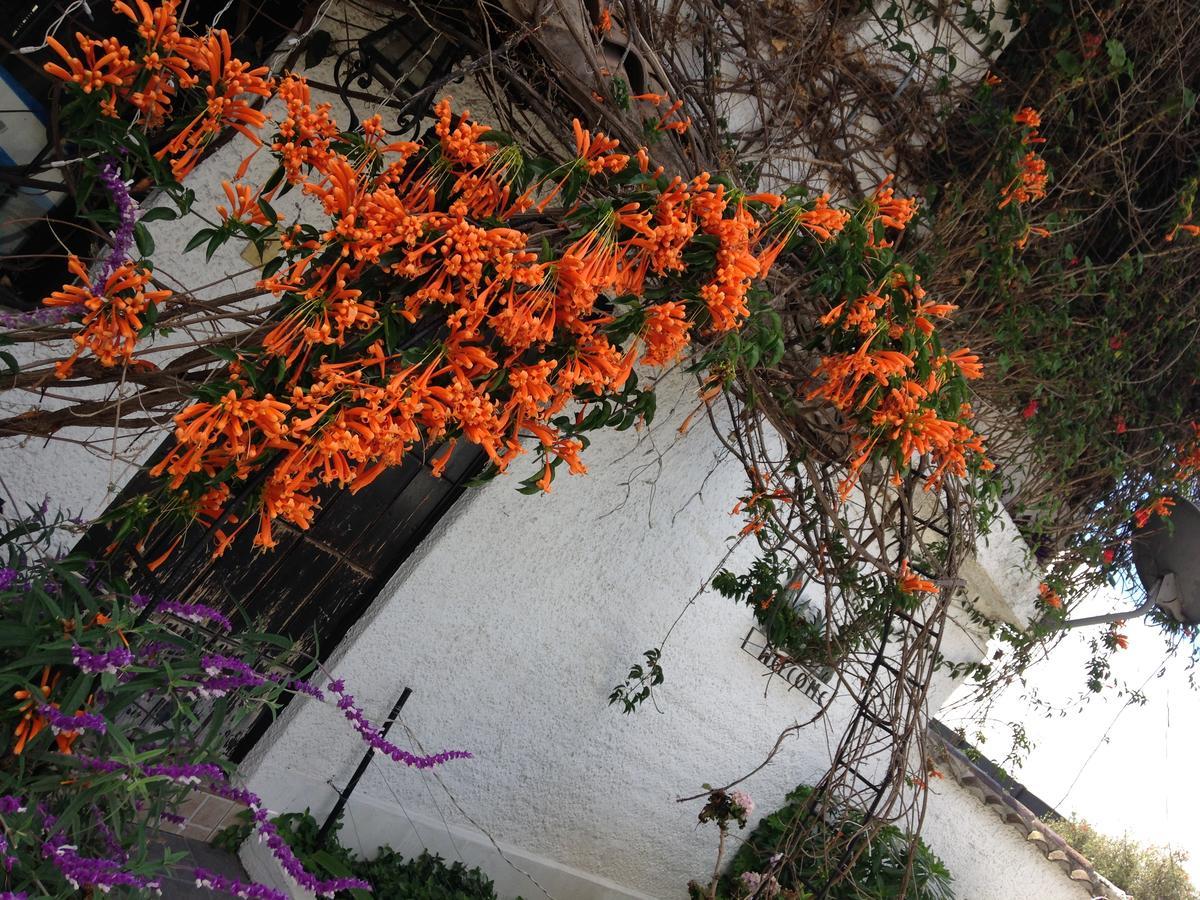 Mansion Samzara Hosteleria Sangolquí Buitenkant foto